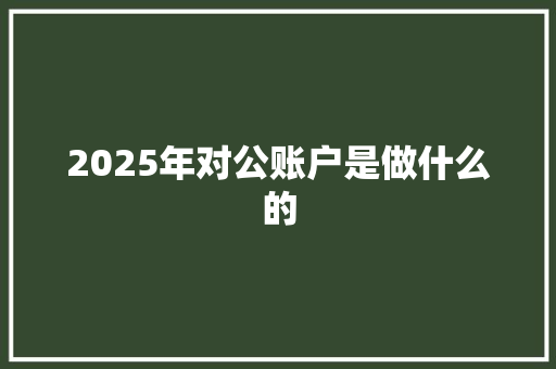 2025年对公账户是做什么的
