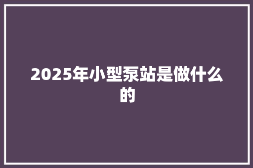 2025年小型泵站是做什么的