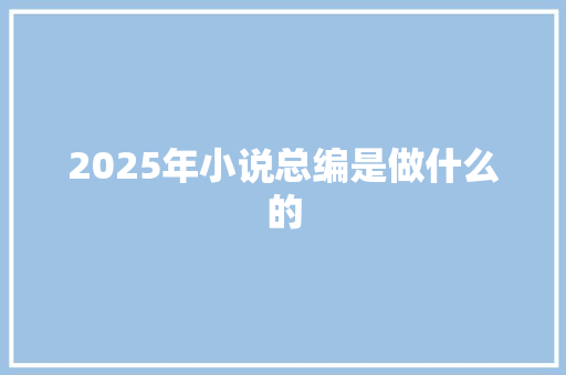 2025年小说总编是做什么的