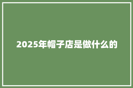 2025年帽子店是做什么的