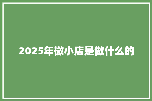2025年微小店是做什么的