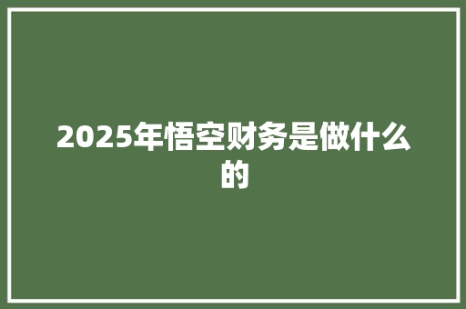 2025年悟空财务是做什么的