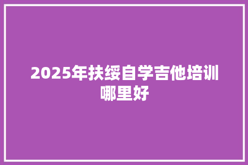 2025年扶绥自学吉他培训哪里好