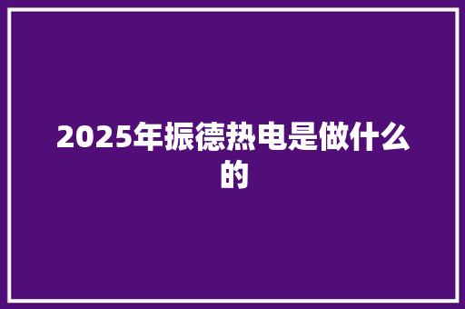 2025年振德热电是做什么的