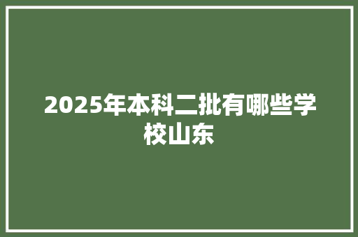 2025年本科二批有哪些学校山东