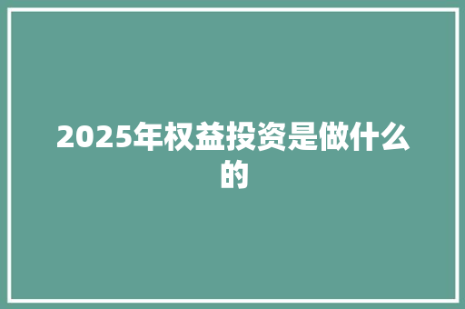 2025年权益投资是做什么的