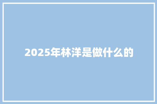 2025年林洋是做什么的