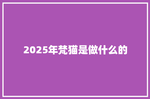 2025年梵猫是做什么的