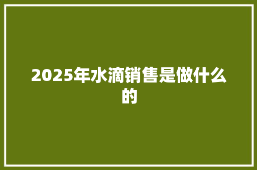 2025年水滴销售是做什么的