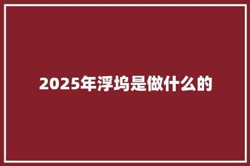 2025年浮坞是做什么的