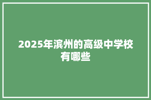 2025年滨州的高级中学校有哪些
