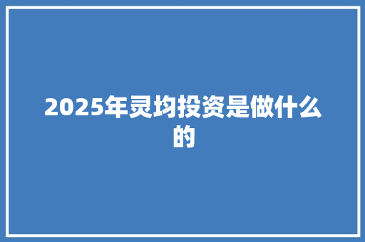 2025年灵均投资是做什么的