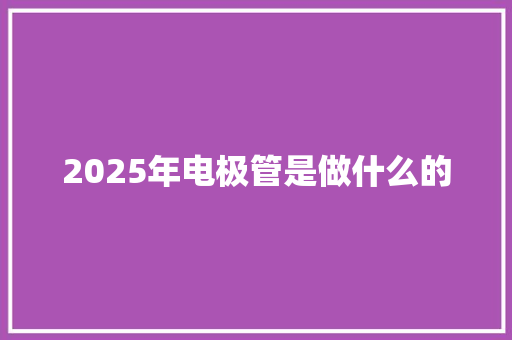 2025年电极管是做什么的