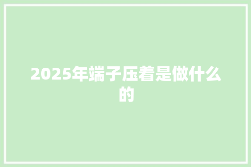 2025年端子压着是做什么的