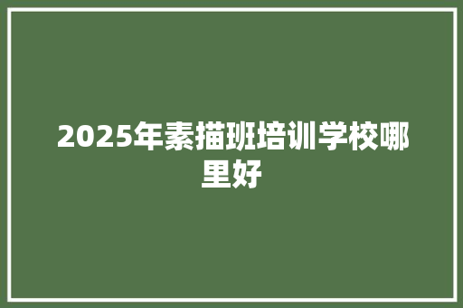 2025年素描班培训学校哪里好