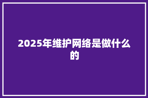 2025年维护网络是做什么的