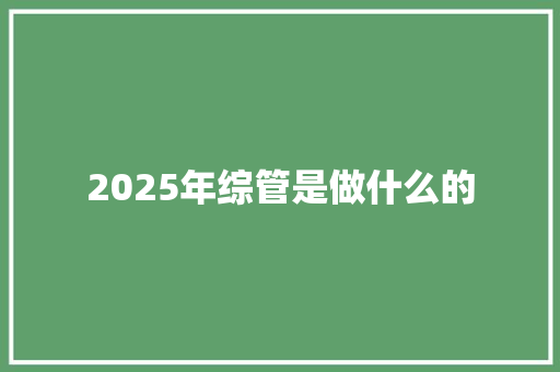 2025年综管是做什么的