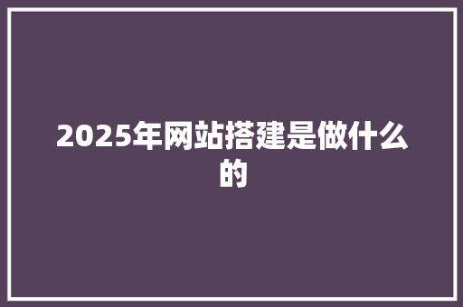 2025年网站搭建是做什么的