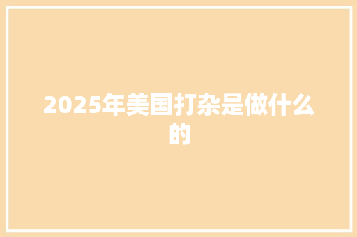 2025年美国打杂是做什么的
