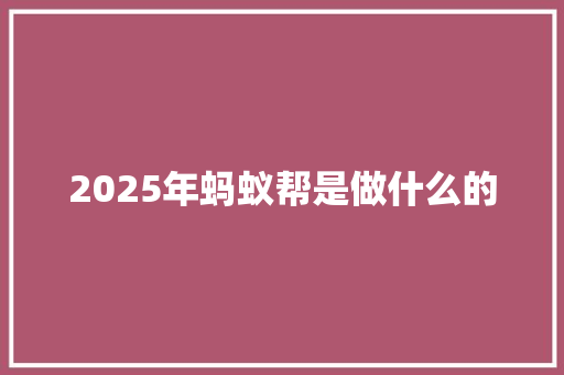 2025年蚂蚁帮是做什么的