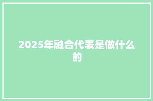 2025年融合代表是做什么的