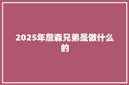 2025年詹森兄弟是做什么的
