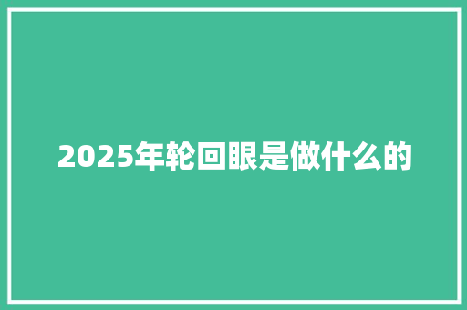 2025年轮回眼是做什么的