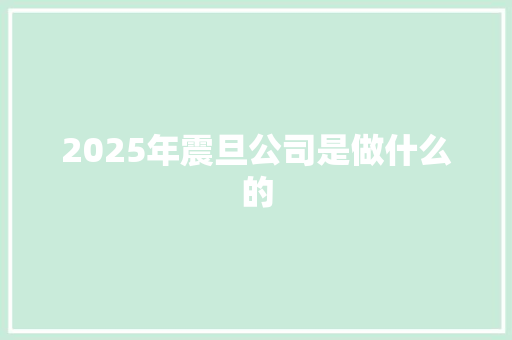2025年震旦公司是做什么的