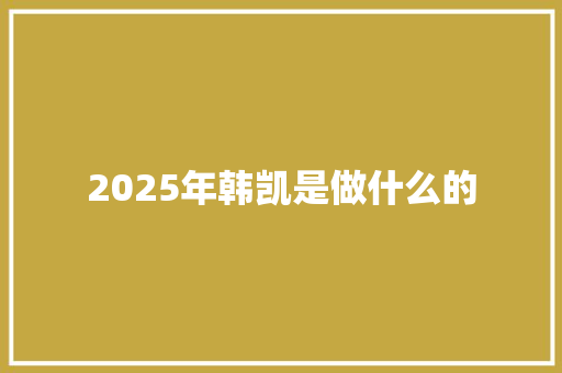 2025年韩凯是做什么的