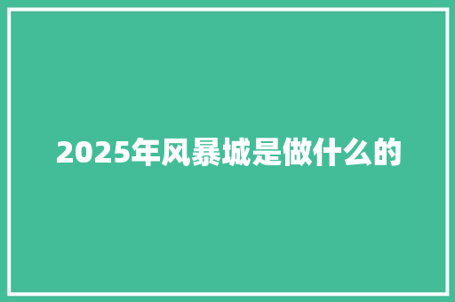 2025年风暴城是做什么的