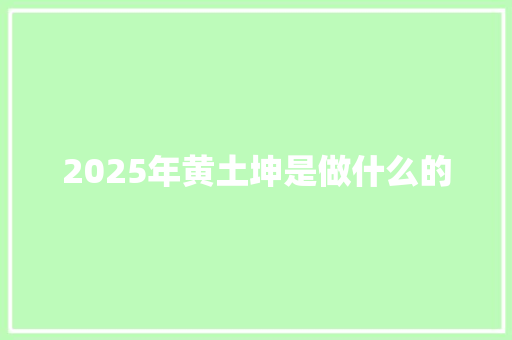 2025年黄土坤是做什么的