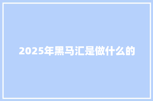 2025年黑马汇是做什么的