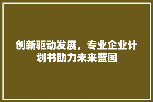 创新驱动发展，专业企业计划书助力未来蓝图