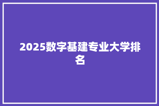 2025数字基建专业大学排名