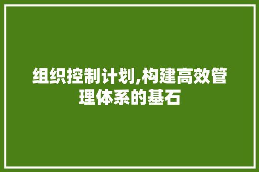 组织控制计划,构建高效管理体系的基石