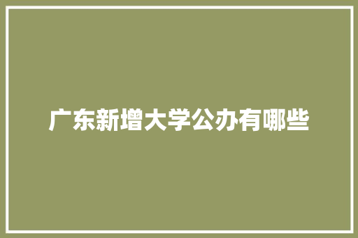 广东新增大学公办有哪些