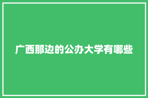 广西那边的公办大学有哪些 范文宝典