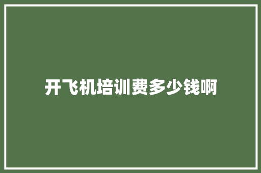 开飞机培训费多少钱啊