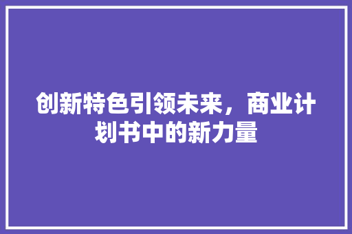 创新特色引领未来，商业计划书中的新力量