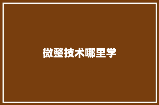 微整技术哪里学