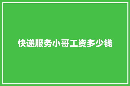 快递服务小哥工资多少钱