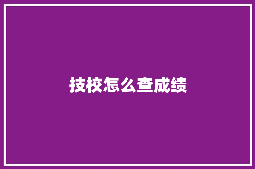 技校怎么查成绩