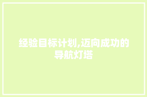 经验目标计划,迈向成功的导航灯塔