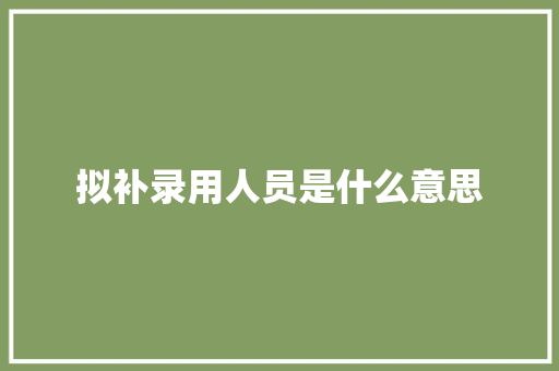 拟补录用人员是什么意思