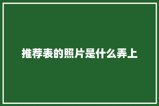 推荐表的照片是什么弄上