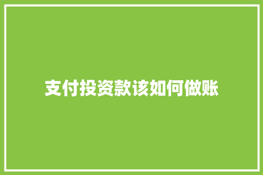 支付投资款该如何做账