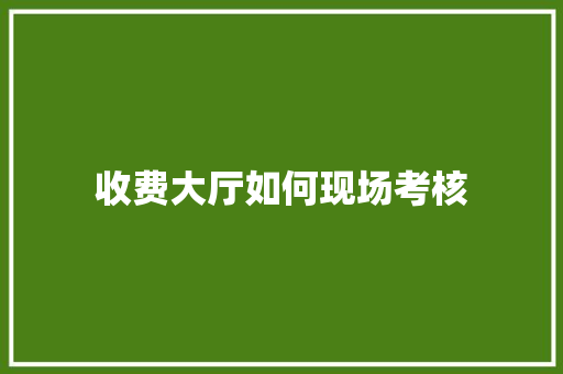 收费大厅如何现场考核