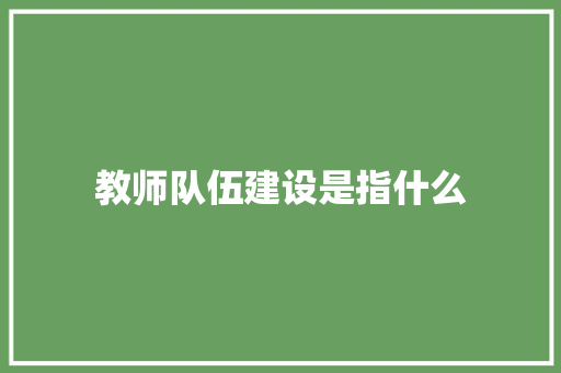 教师队伍建设是指什么