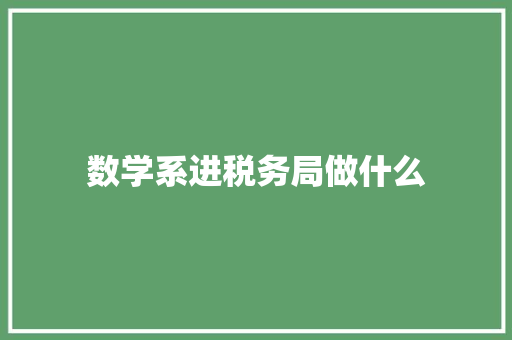 数学系进税务局做什么