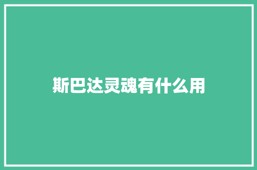 斯巴达灵魂有什么用